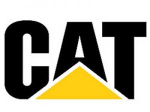  Cat Logo